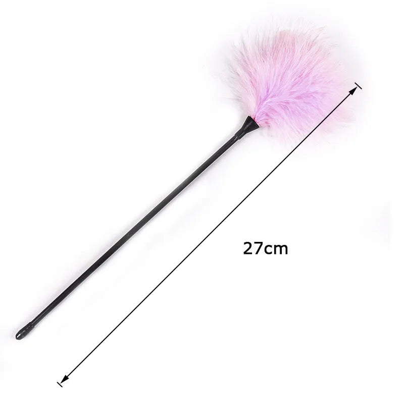 Collection of Fouet en Plumes 27 cm in a gallery layout