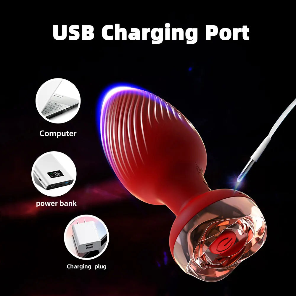 Collection of Vibromasseur Plug Anal - Contrôle Sans Fil in a gallery layout